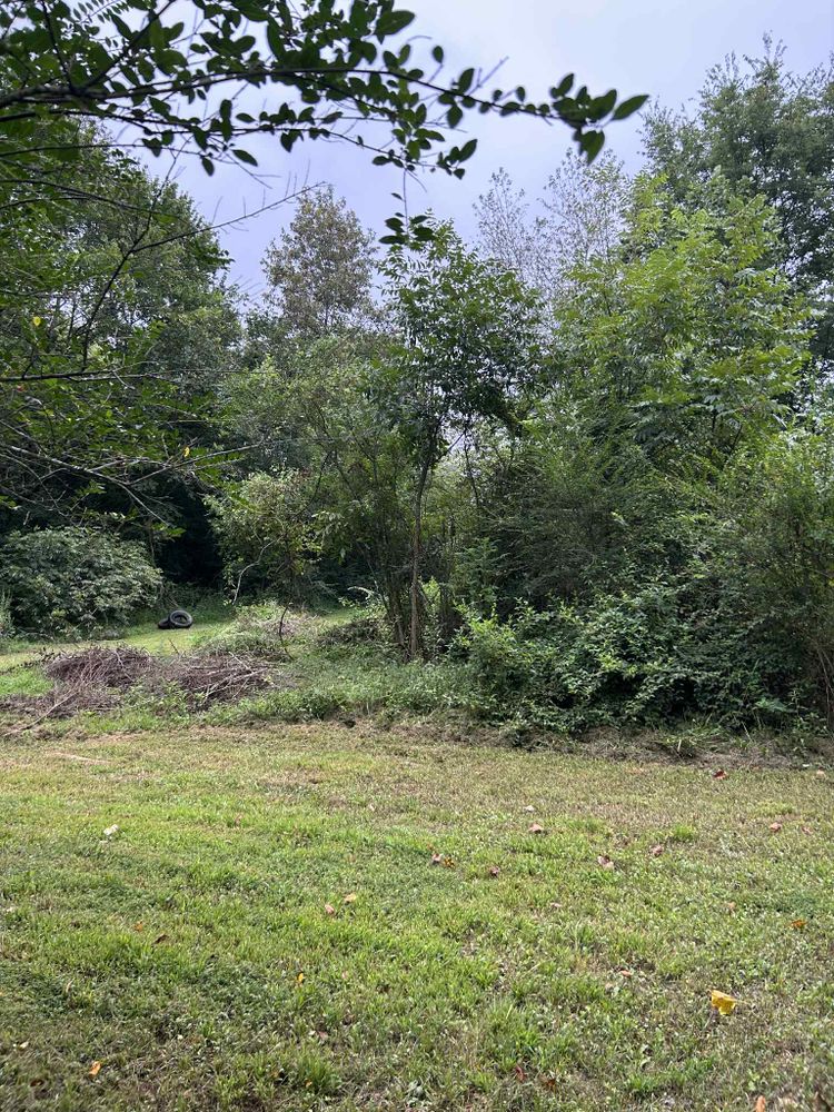 All Photos for Z's Land Management & Forestry Mulching in Smithville, TN