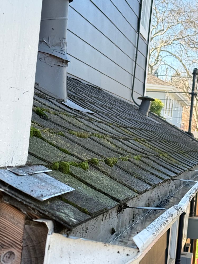 Moss Removal  for GGG Home Services in San Jose, CA