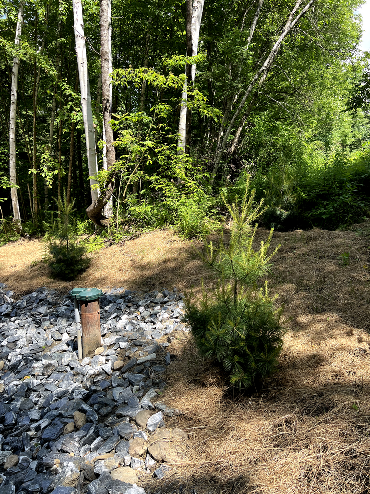 All Photos for Andy Naylor Excavation in Stowe, VT