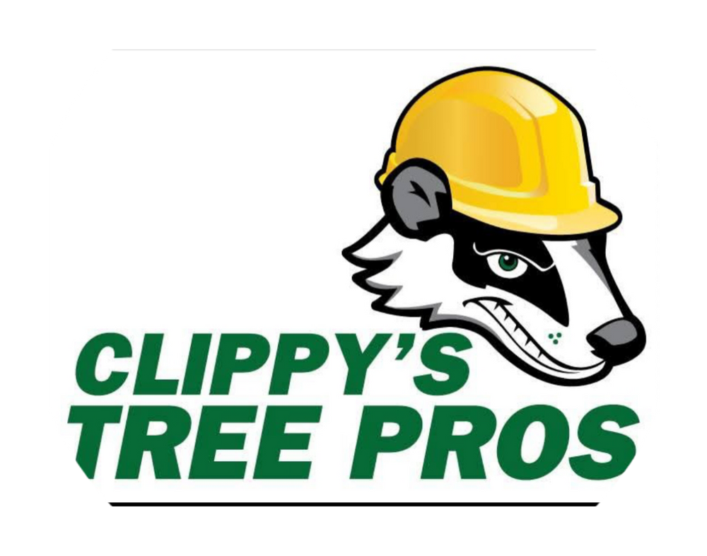 Tree Removal for Clippys Tree Pros in Stayton, OR