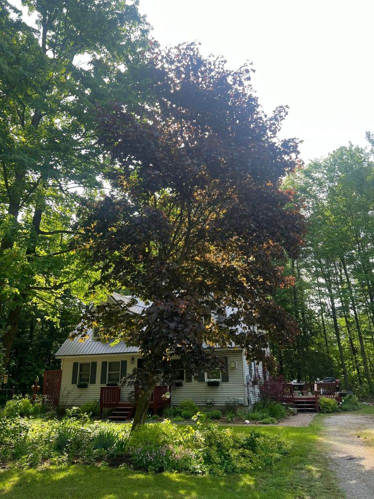 All Photos for Bishop’s Property Maintenance in Franklin, VT