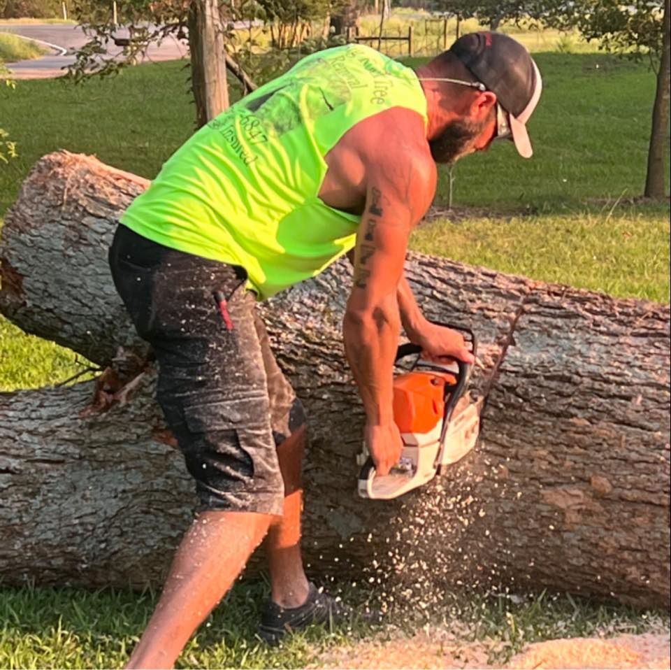 Tree Removal for Big Rock Tree Removal LLC in Boaz, AL