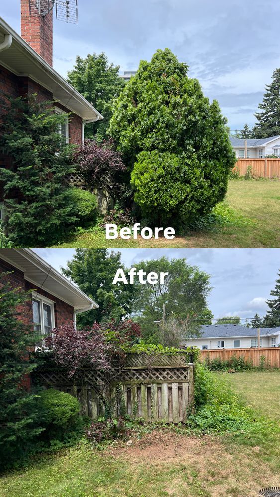 Our Tree and Shrub Removal service expertly clears unwanted vegetation and small trees, enhancing your landscape's beauty and safety. Trust our team for efficient, clean removal that preserves your property's natural health. for CMN Exterior Maintenance in Hamilton, ON