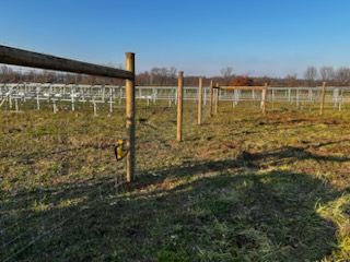 All Photos for Pine Mountain Restoration in Howard, PA