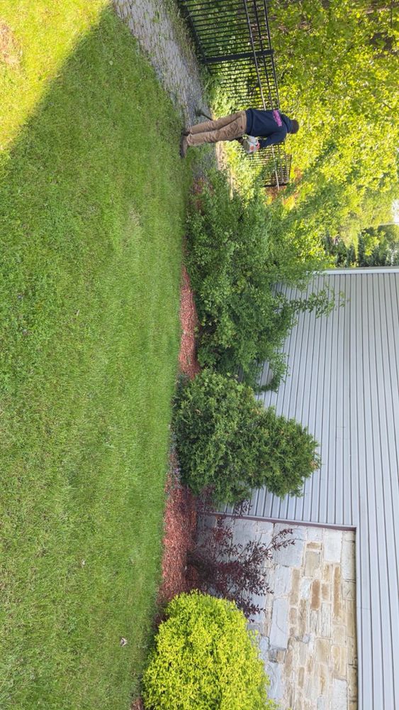 All Photos for Denicola’s Lawn Care in Oxbow,  NY