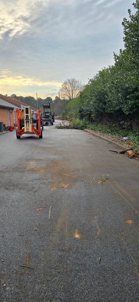 All Photos for Beach Tree Care in Virginia Beach, VA