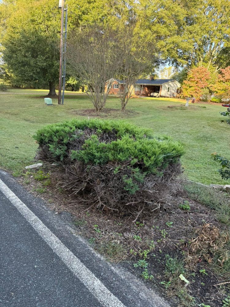 All Photos for Brooks Tree Service in Casar, NC