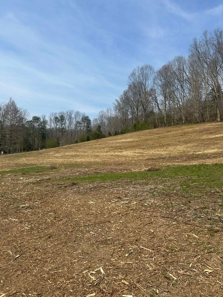 All Photos for Z's Land Management & Forestry Mulching in Smithville, TN