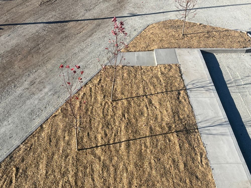 All Photos for Prestige Landscaping & Lawn Services LLC in Anderson, IN