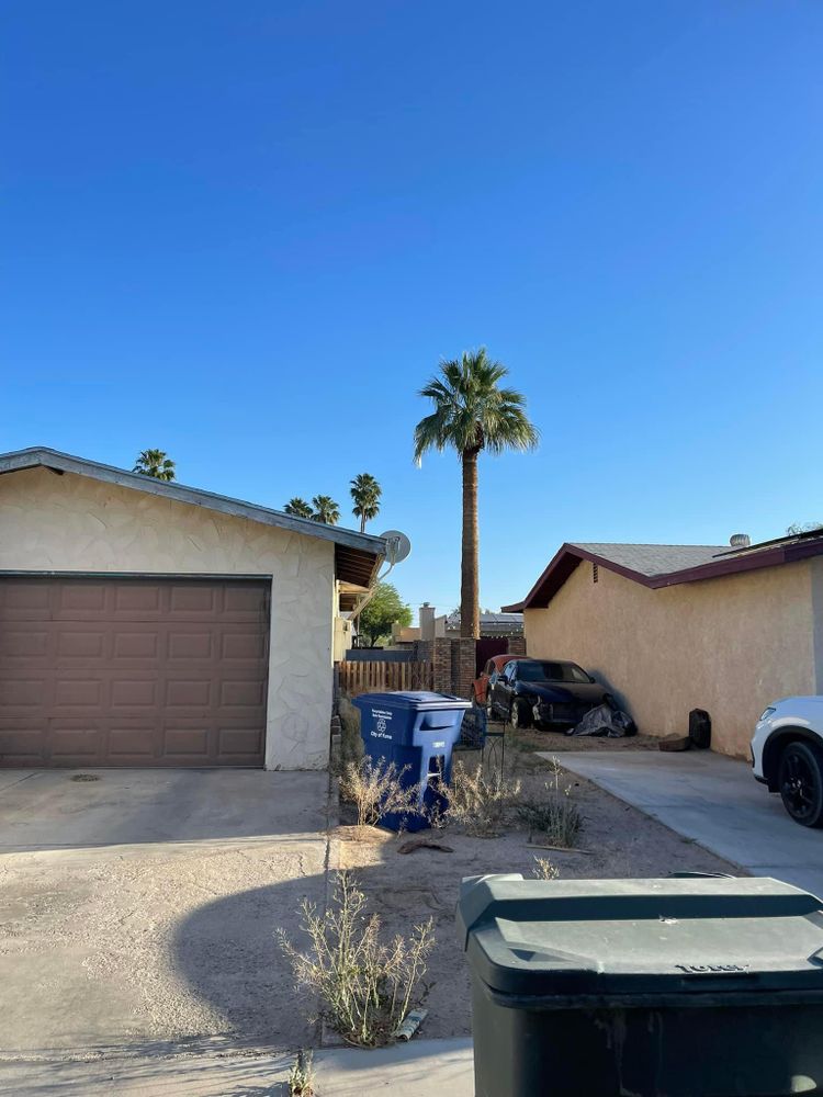 All Photos for Oliver L. Palm & Tree services in Yuma County, AZ