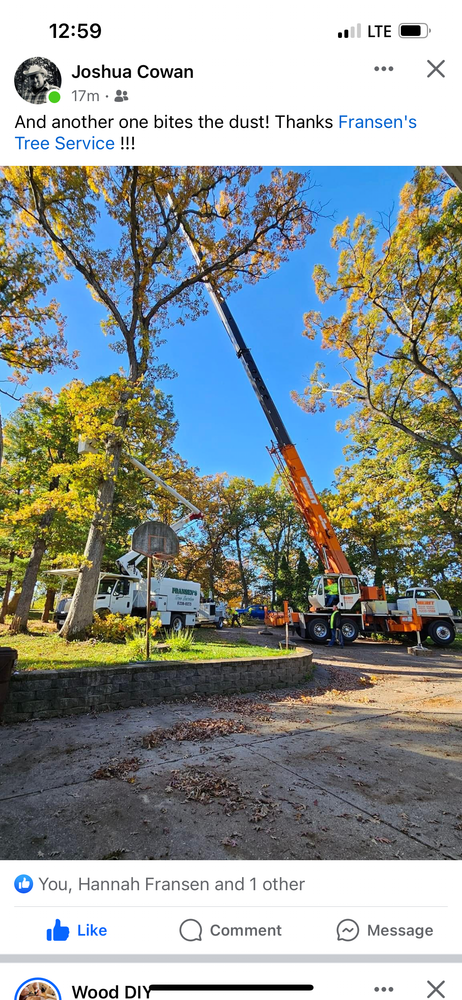 All Photos for Fransen's Tree Service  in Freeport, IL