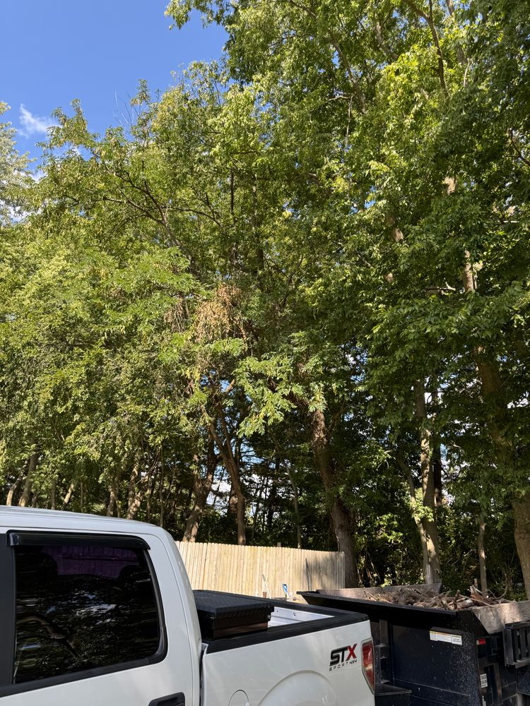 Tree Removal for Hunnicutt’s Tree Service L.L.C. in Monticello, IN