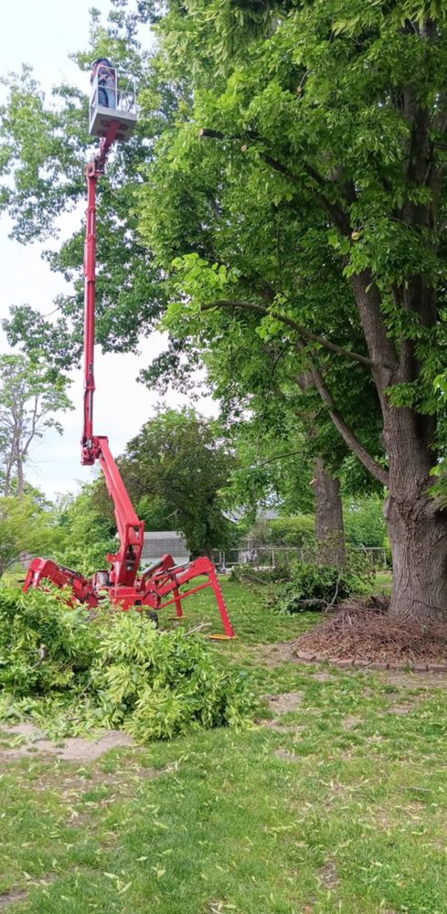 All Photos for Lawn Ranger Yard And Tree Service LLC in Ottumwa, IA