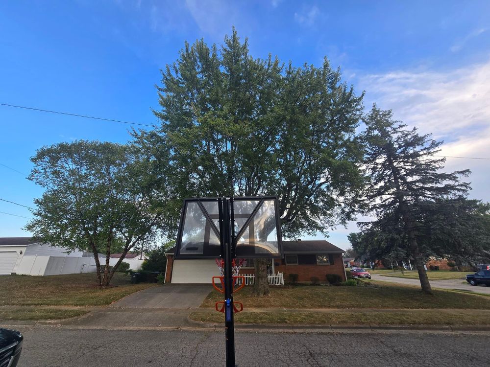 All Photos for F & F Tree Service in Beavercreek, OH