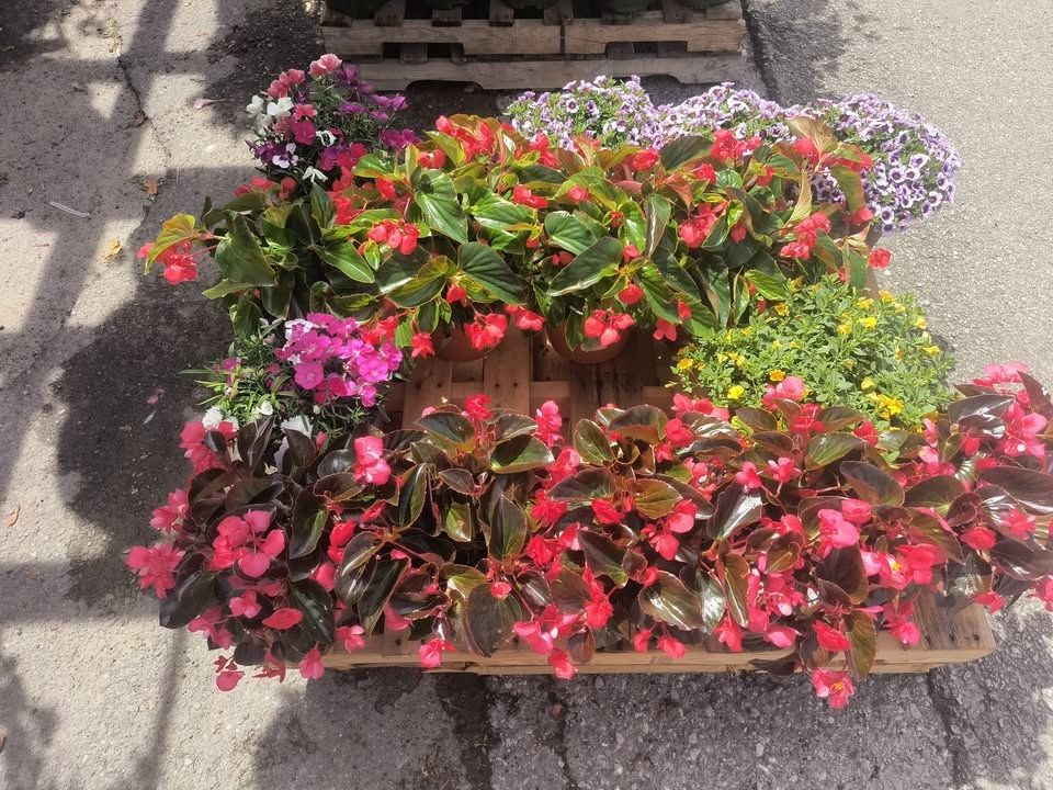 All Photos for Starnes Hardscapes & Property Management LLC in Dunlap, TN