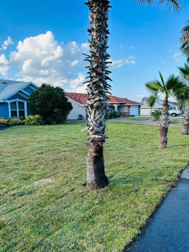 All Photos for Estrada All Pro Lawn Service in Auburndale, Florida