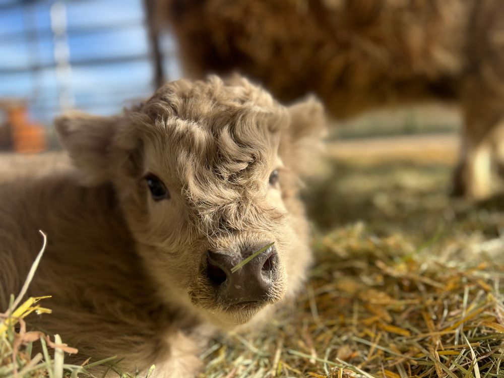 All Photos for Immaculate Concrete and Construction in Troy, IL