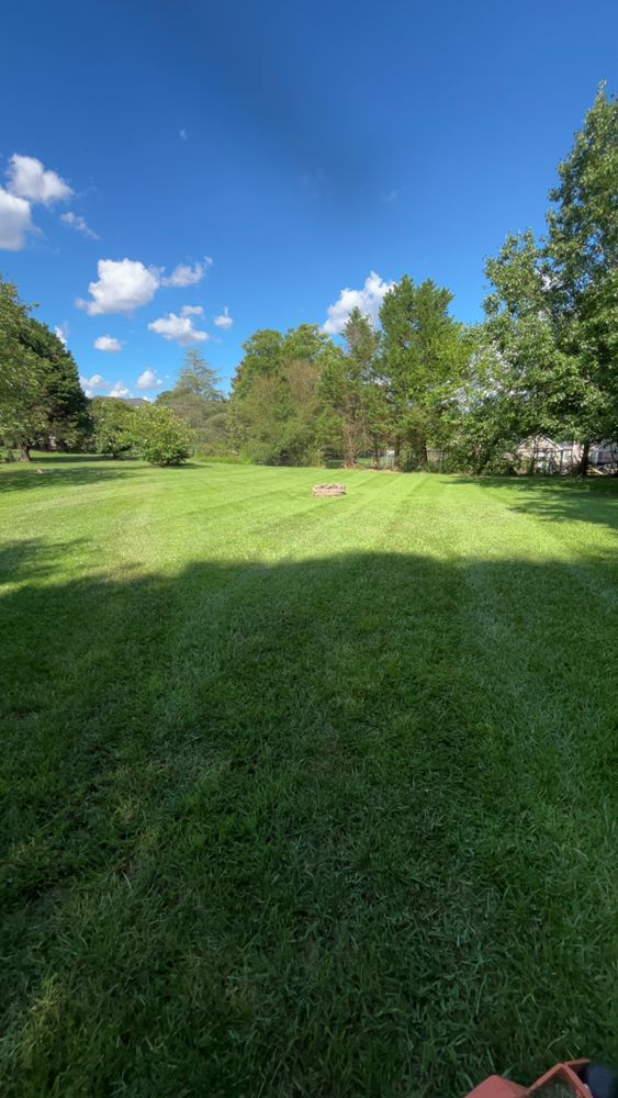 All Photos for WD Lawn Services in Loganville, GA