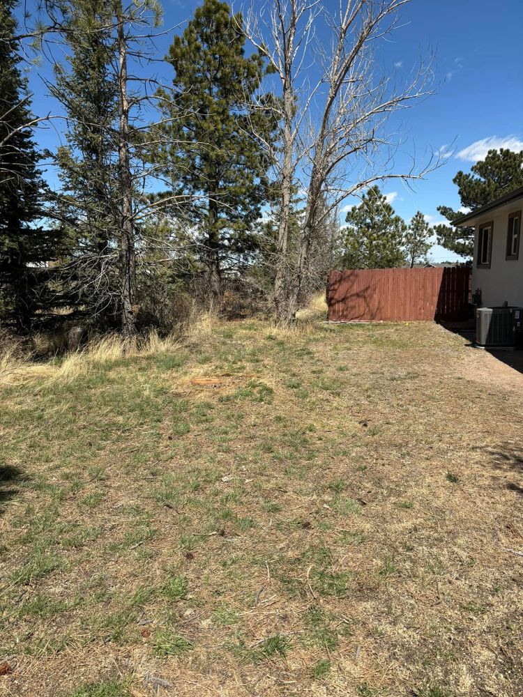 All Photos for Graham’s Tree Services in Pierce, CO