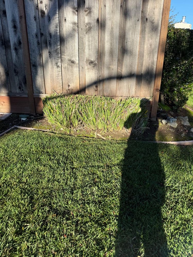 All Photos for CBA Landscaping in Hayward, CA