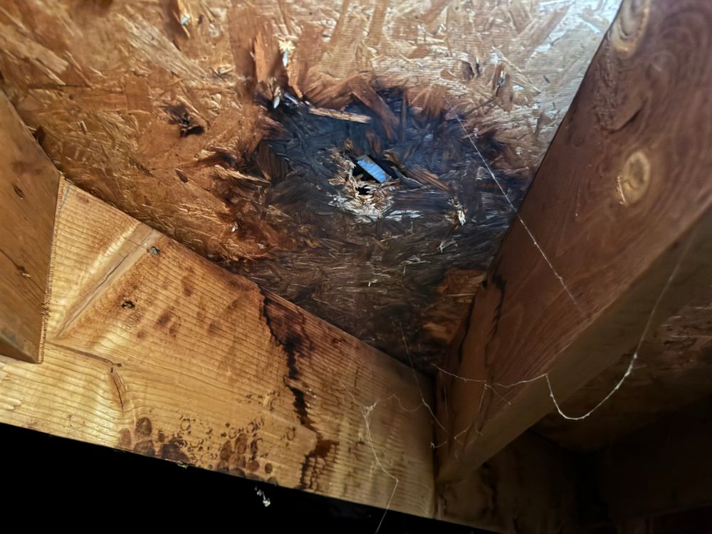 All Photos for FNS Exterior Consulting LLC, Powered By Live OAK in Cumming, GA