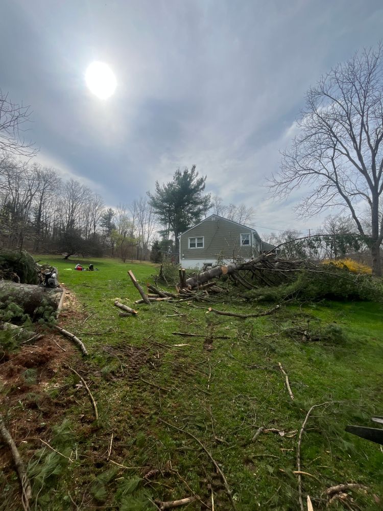 All Photos for Licensed to Cut Tree Service in Athens, PA