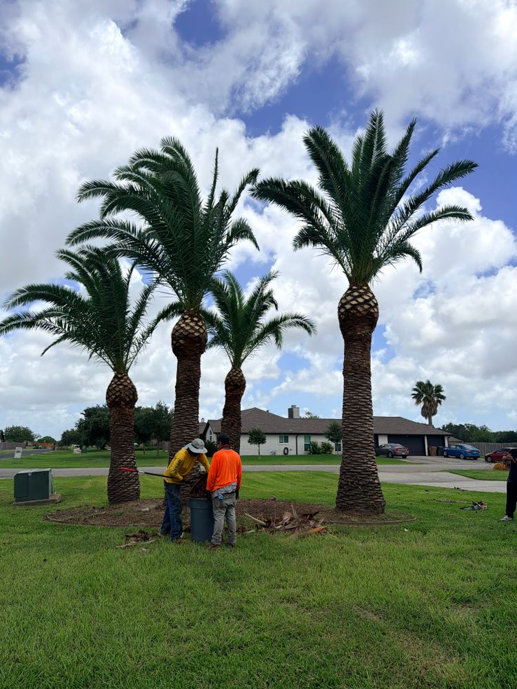 All Photos for Johnnys Pro Cutters in Corpus Christi, TX