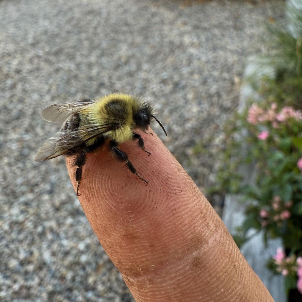 All Photos for RI Outdoor Living  in Charlestown, Rhode Island