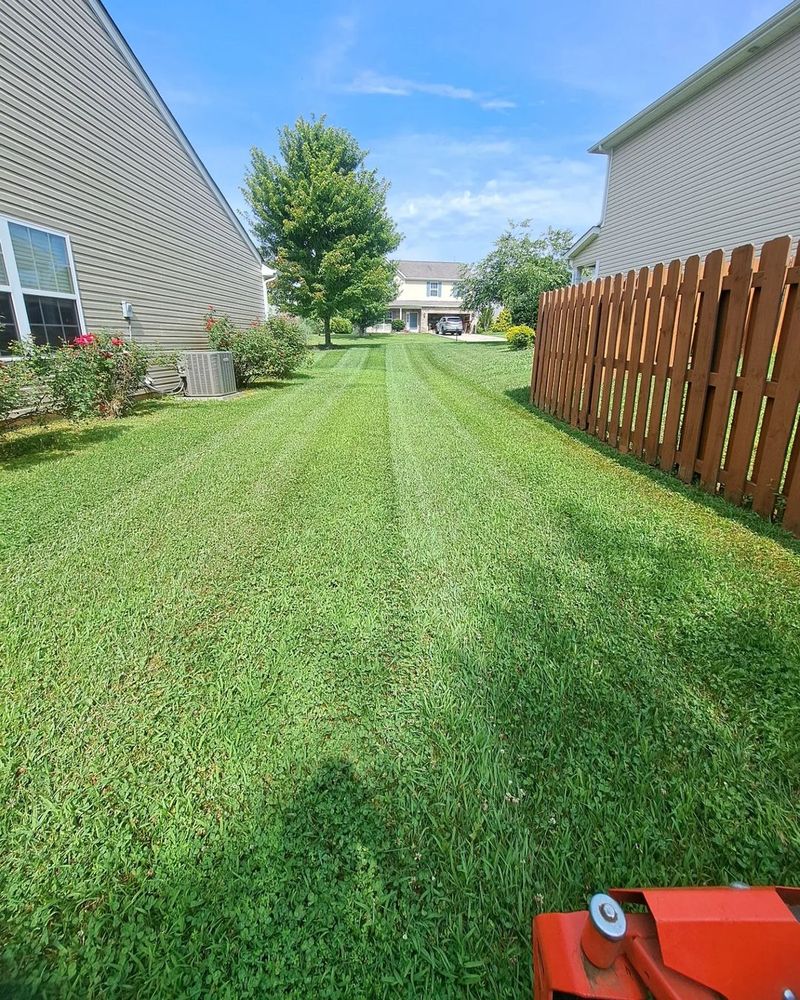 Lawn Care for Dee's Lawn Care Services in Lake Wylie, SC
