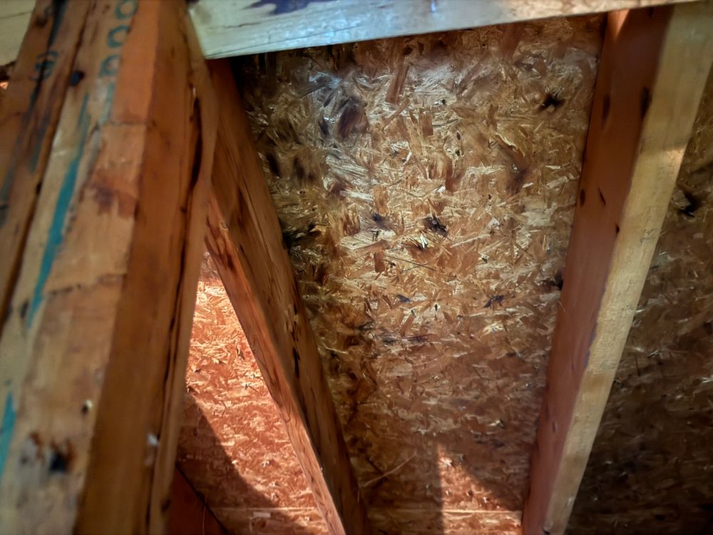 All Photos for FNS Exterior Consulting LLC, Powered By Live OAK in Cumming, GA