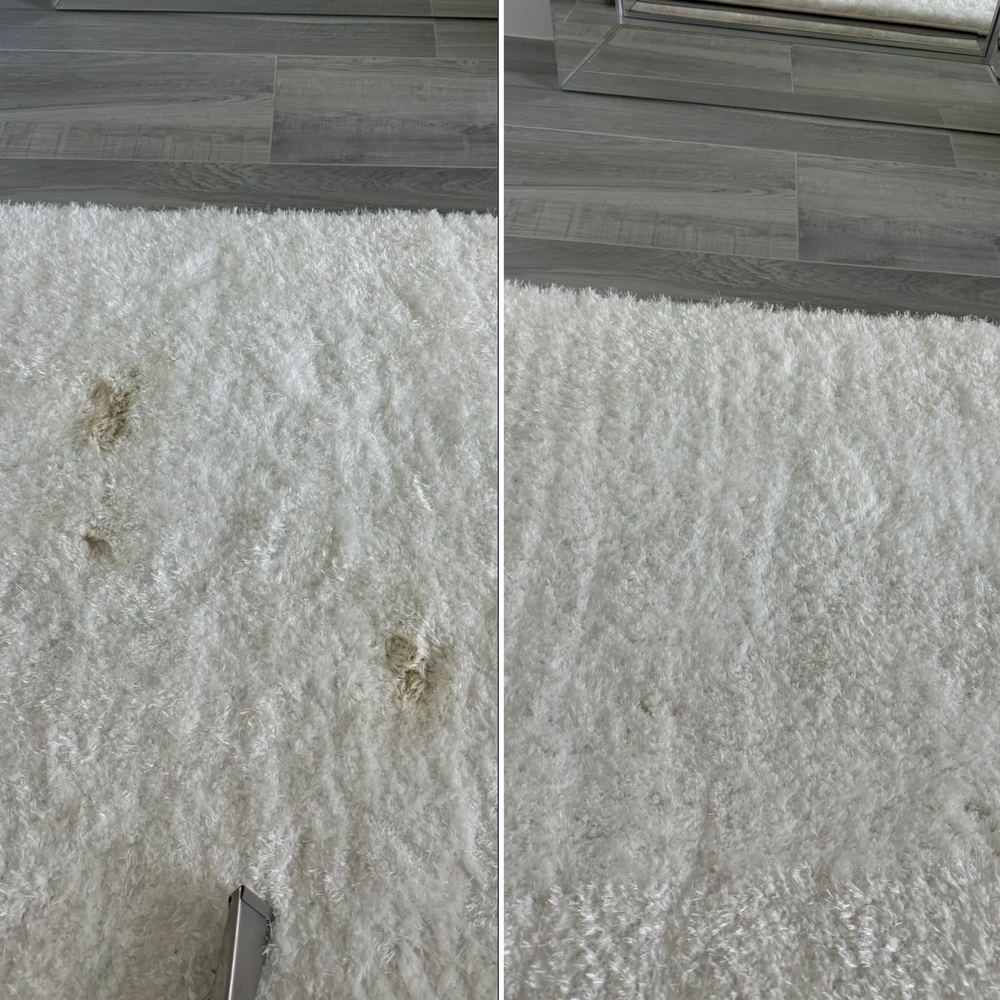 Pet Stains/Odor for SOS Carpet, Furniture & Tile Cleaning in Boynton Beach,, FL