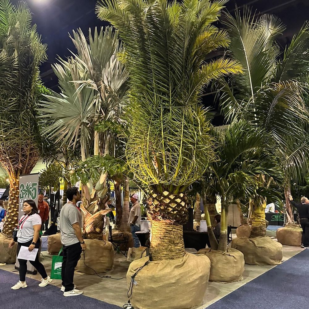 All Photos for GS Lawn & Landscape in Clearwater, FL