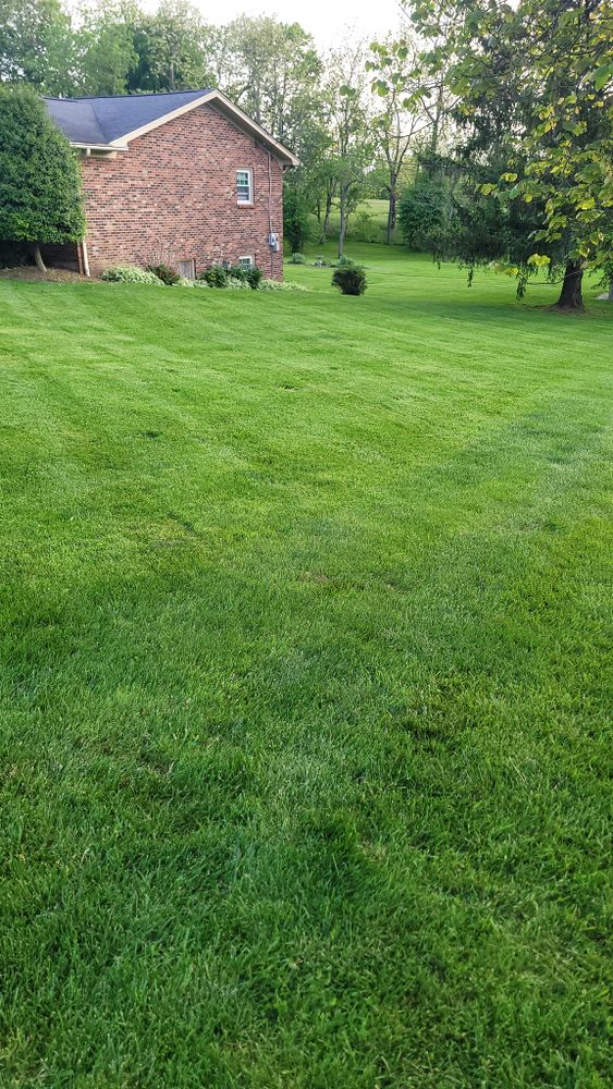 Fall and Spring Clean Up for KK&G Lawncare Services LLC in  Frankfort, KY