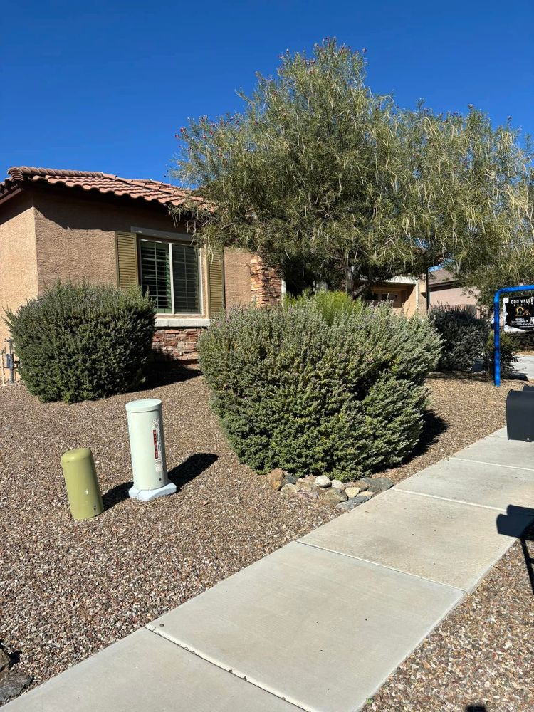 All Photos for LM Landscapes & Irrigation LLC Verified Account in Marana, AZ