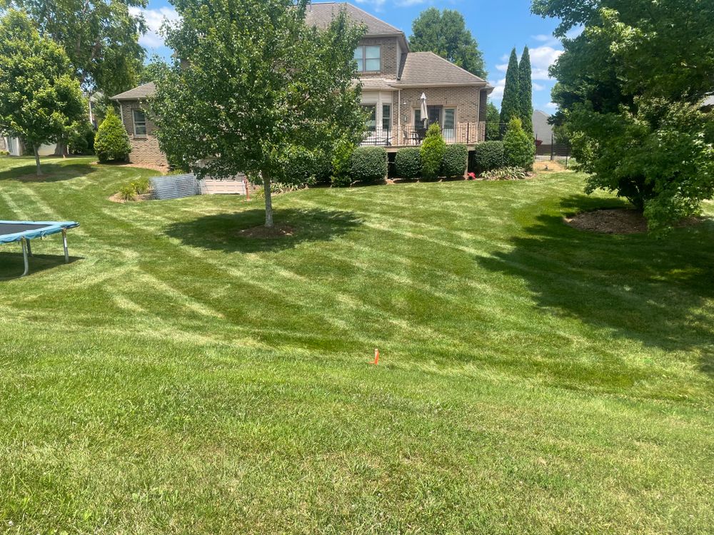 All Photos for Diamond Lawn & Land Maintenance in Jonesborough, TN