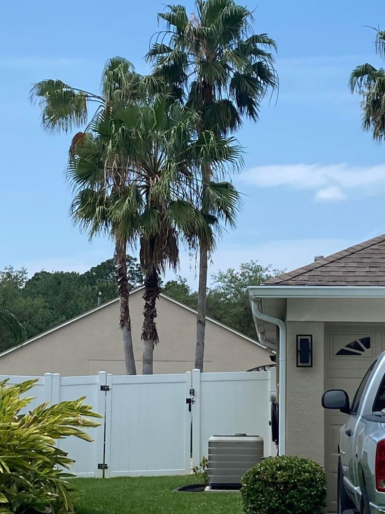 All Photos for Efficient and Reliable Tree Service in Lake Wales, FL