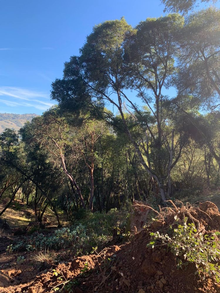 All Photos for J. Orozco & Sons Ent in Philo, CA