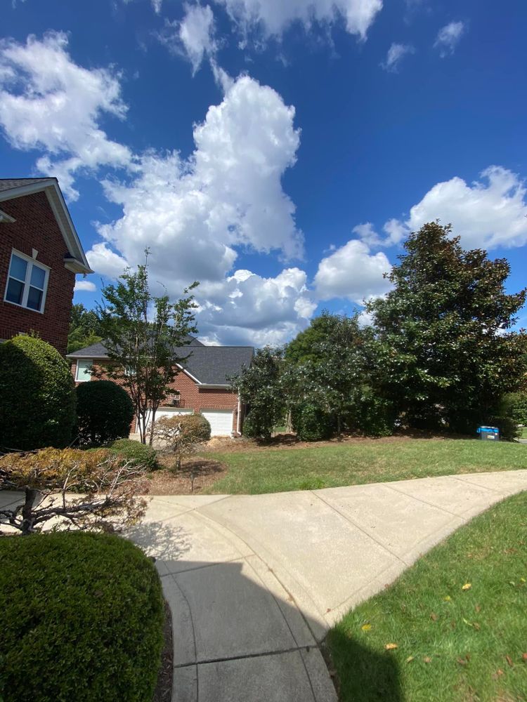 All Photos for Diversified Tree Company in Trinity, NC