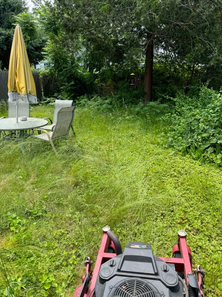 All Photos for Adams Landscaping in Springfield, MA