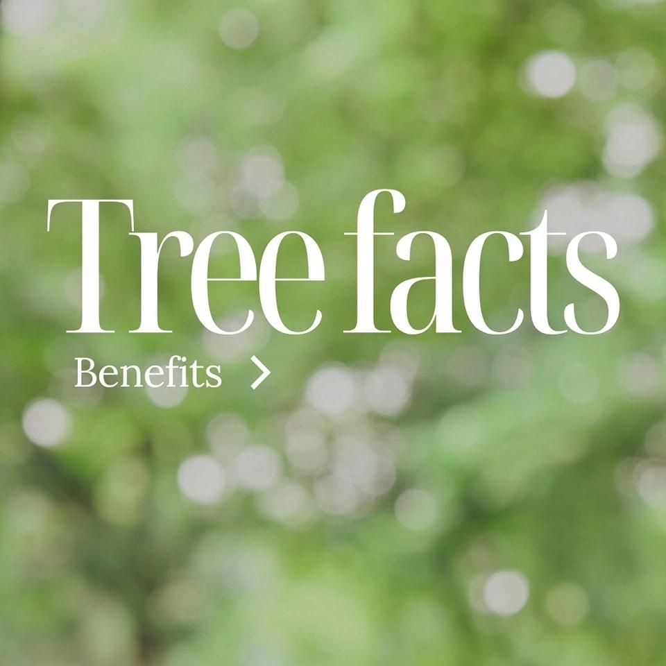 All Photos for Oakwood Tree Removal LLC in Oak Creek,  WI