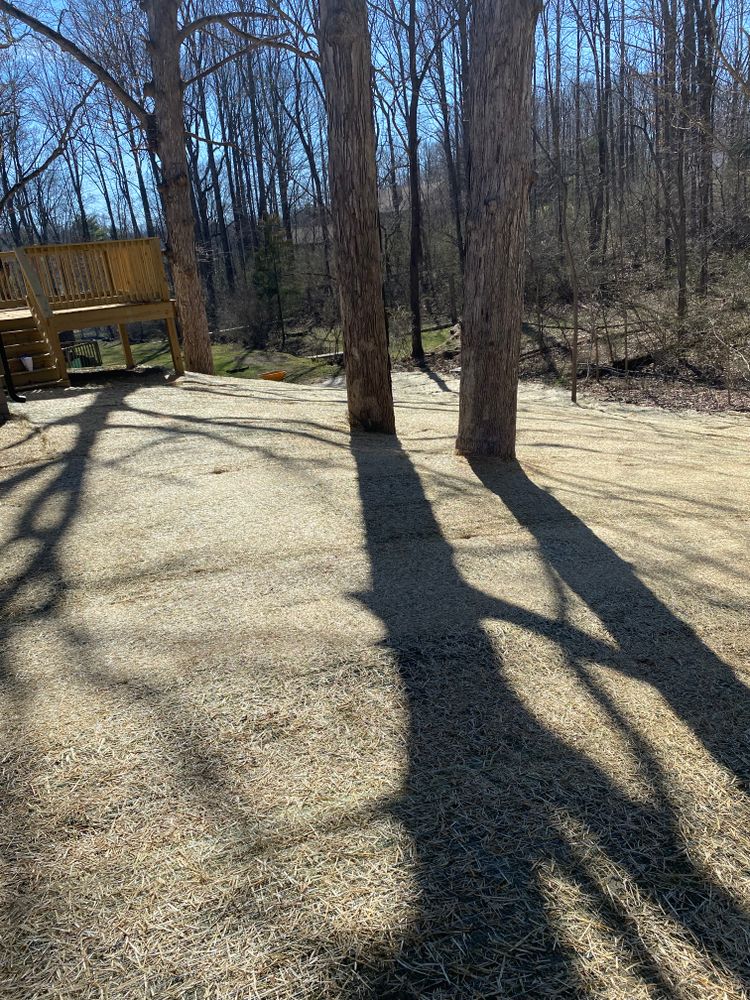 All Photos for Stafford.Works in Brownsburg, IN