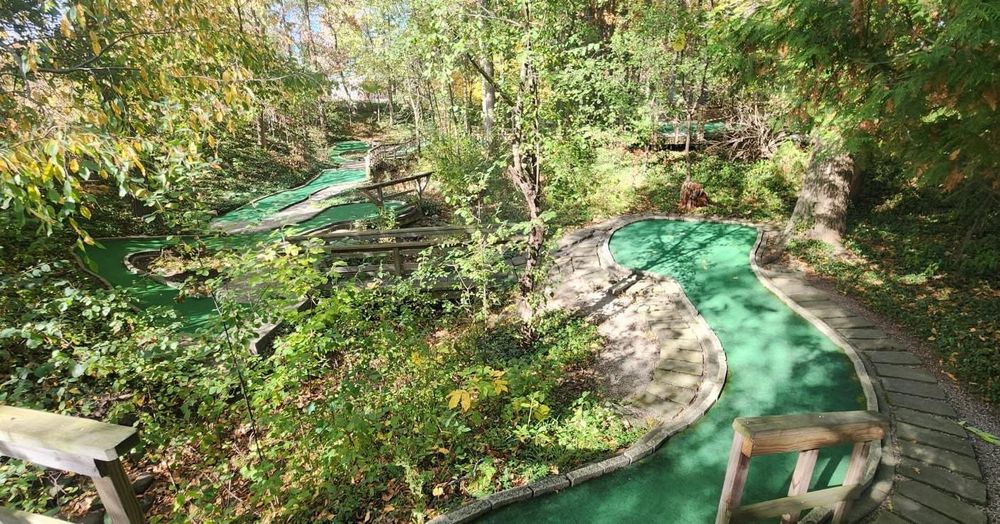 All Photos for Cut a Rug Flooring in Lake Orion, MI