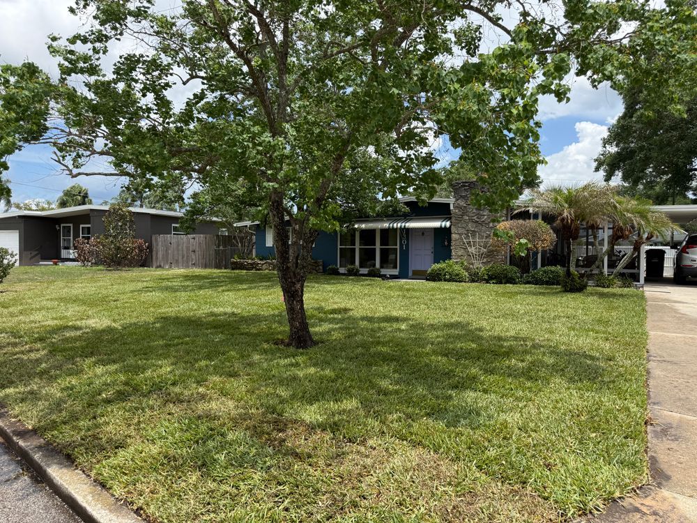 All Photos for Amerigrown Tree And Lawn in Apopka, FL