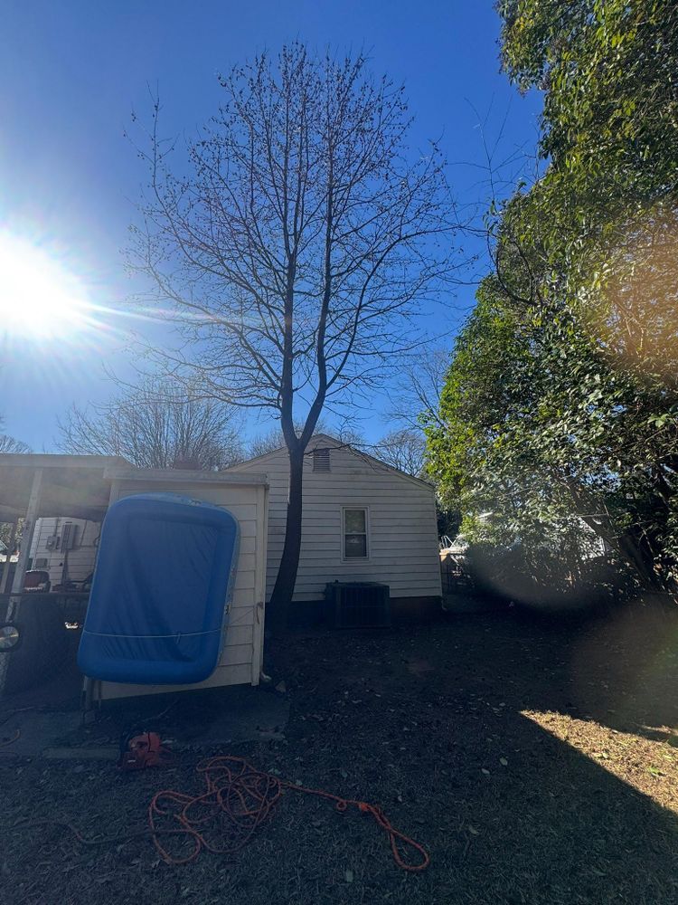 All Photos for Pedro's Tree Removal in Charlotte, NC