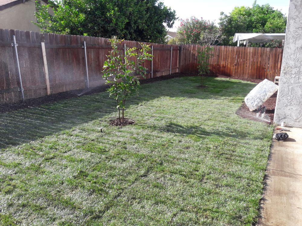 Best Lawncare team in Colton, CA - people or person