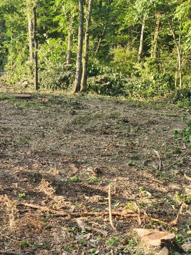 All Photos for Lawn Ranger Yard And Tree Service LLC in Ottumwa, IA