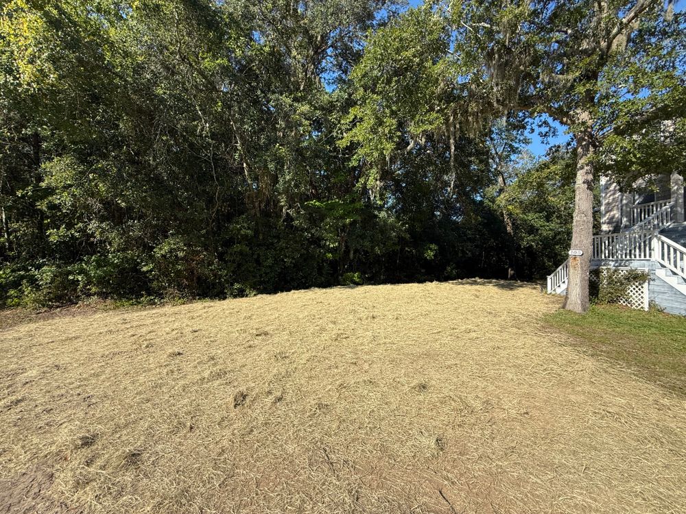 All Photos for TideCo Septic in Brunswick, GA