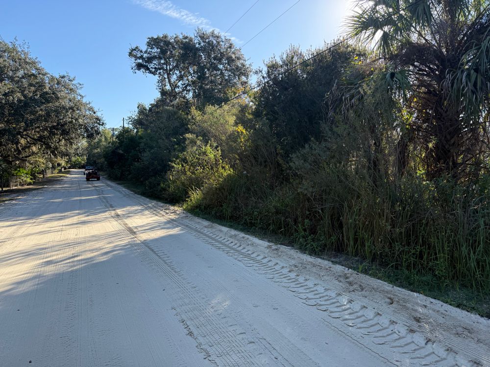 All Photos for Amerigrown Tree And Lawn in Apopka, FL