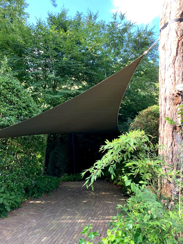 Tree Services for Mr Timber in Ocala, FL