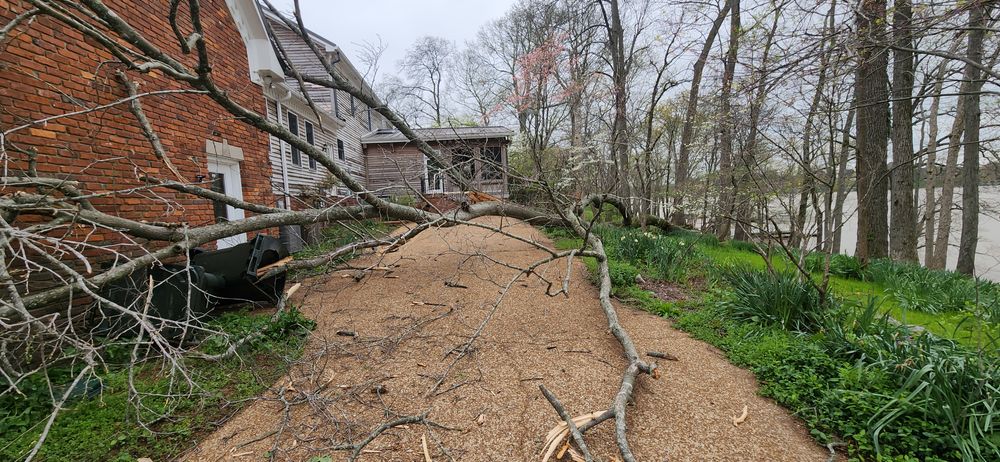 All Photos for Tree Fellers in Sumner County, TN